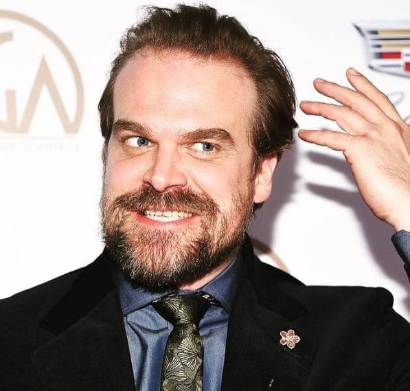 Next photo of David Harbour